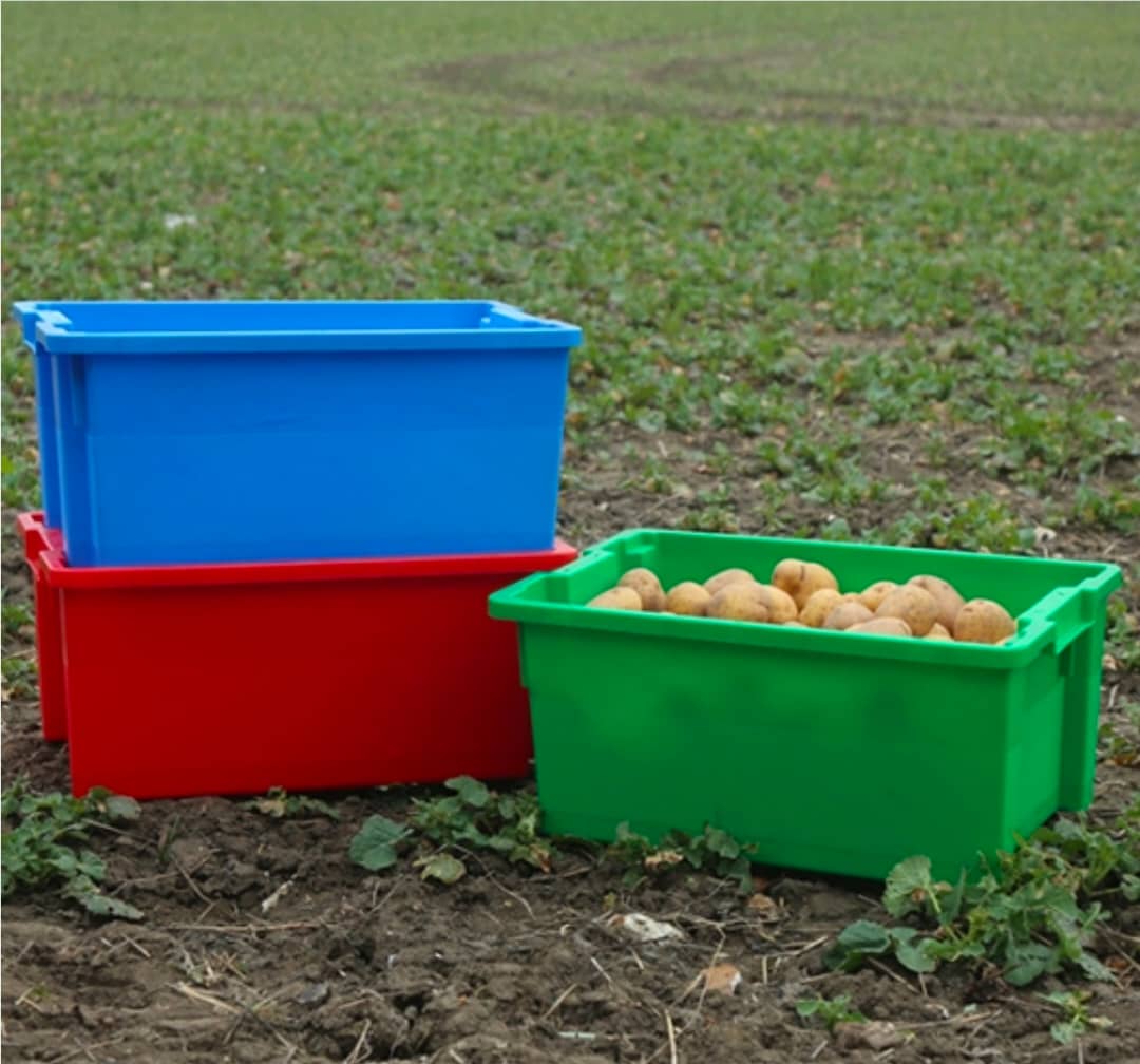 WhatsApp Image 2025-08-04 at 9.38.19 AM